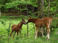 /album/fotogalerie/p5120143-jpg/